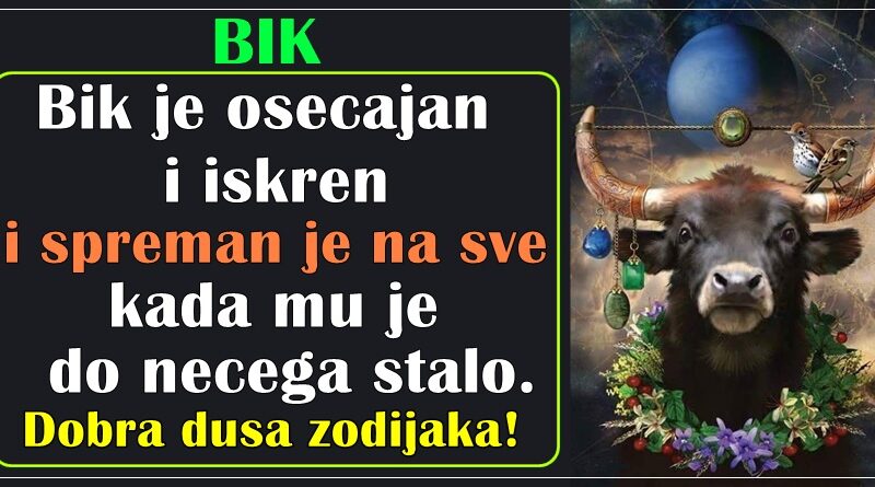 BIK ima DUSU DETETA – osecajan je i iskren, i spreman na sve kada mu je do necega stalo, ali UVEK IGRA FER I POSTENO! BIK ima DUSU DETETA – osecajan je i iskren, i spreman na sve kada mu je do necega stalo, ali UVEK IGRA FER I POSTENO!
