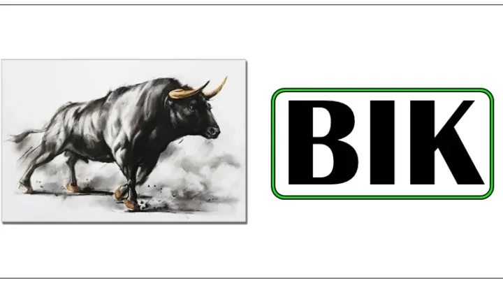 Bik – znak koji zna sta zeli,koji je spreman na sve kada mu je do necega stalo,ali uvek igra fer!