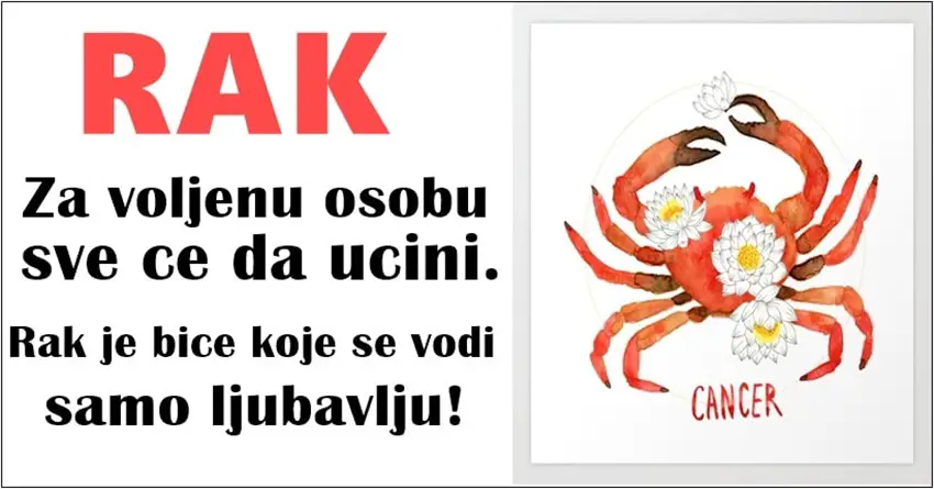 RAK – skroman, pazljiv, znak koji bi RADO SVIMA POMOGAO, pa cak i ako ce ON PATITI… RAK – skroman, pazljiv, znak koji bi RADO SVIMA POMOGAO, pa cak i ako ce ON PATITI…