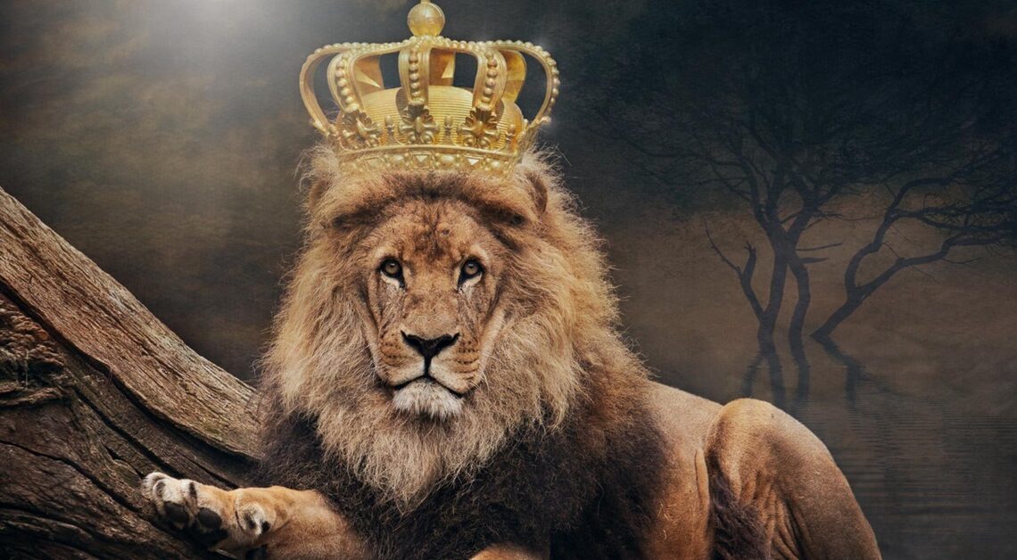 LAV je znak za koga svi misle da je ponosan ,ali je zapravo neko ko iskreno zivi da bi voleo! LAV je znak za koga svi misle da je ponosan ,ali je zapravo neko ko iskreno zivi da bi voleo!