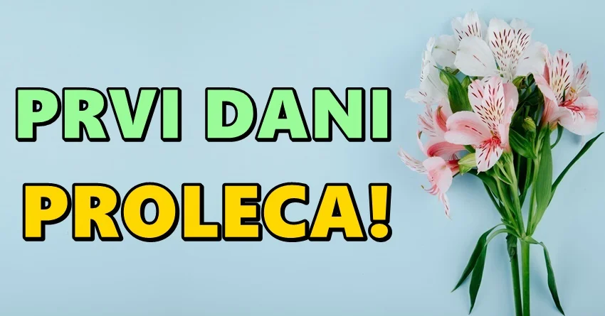 U prvim danima proleća, ovi znaci će iskreno uživati: Evo koga čeka zanimljiv period! U prvim danima proleća, ovi znaci će iskreno uživati: Evo koga čeka zanimljiv period!