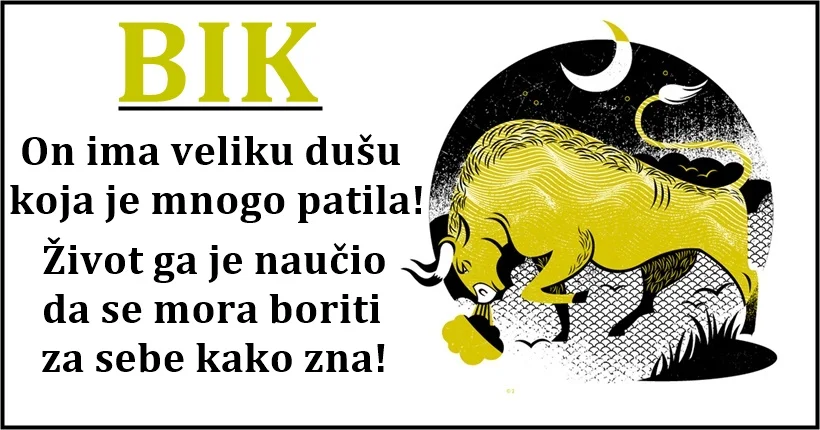 BIK: TERA PO SVOM, ide GLAVOM KROZ ZID ali nikog NEĆE POVREDITI! BIK: TERA PO SVOM, ide GLAVOM KROZ ZID ali nikog NEĆE POVREDITI!