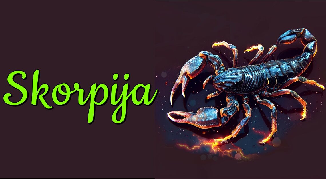 ŠKORPIJA: PROBLEMA uvek ima,ali ona je NAVIKLA da BUDE JAČA od SVEGA! ŠKORPIJA: PROBLEMA uvek ima,ali ona je NAVIKLA da BUDE JAČA od SVEGA!