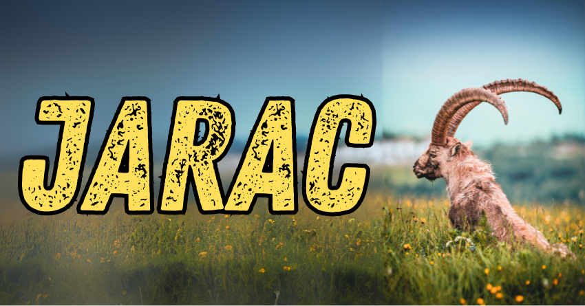 Jarac: Mogu ljudi da ga mrze, ali ne mogu da ospore da je veliki čovek! Jarac: Mogu ljudi da ga mrze, ali ne mogu da ospore da je veliki čovek!