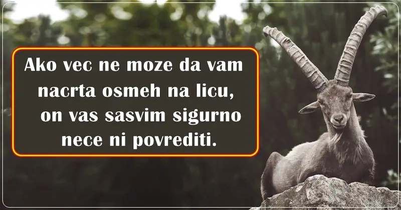 PREJAKA OSEĆANJA: JARAC ili LUDO VOLI ili DO BOLA MRZI, sredine nema! PREJAKA OSEĆANJA: JARAC ili LUDO VOLI ili DO BOLA MRZI, sredine nema!
