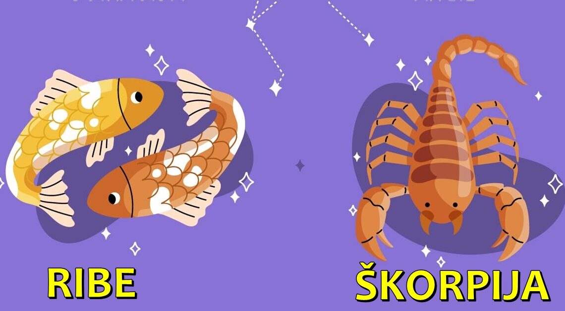 DETALJNI FINANSIJSKI HOROSKOP za naredne dve SEDMICE za RIBE i ŠKORPIJU-Budite hrabri i preuzmite inicijativu u pregovorima i saradnji! DETALJNI FINANSIJSKI HOROSKOP za naredne dve SEDMICE za RIBE i ŠKORPIJU-Budite hrabri i preuzmite inicijativu u pregovorima i saradnji!