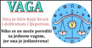 vaga