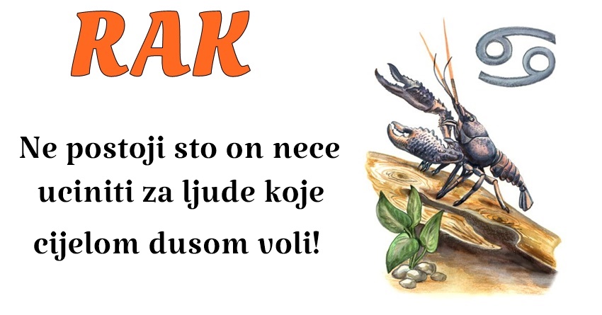 RAK: Rakovi su često ljudi na koje možete računati kada je potrebno očuvati mir i ravnotežu! RAK: Rakovi su često ljudi na koje možete računati kada je potrebno očuvati mir i ravnotežu!