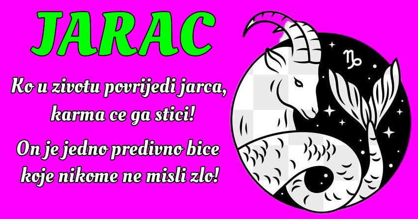 JARAC: On nas uči da je važno održati pozitivan stav čak i u teškim vremenima! JARAC: On nas uči da je važno održati pozitivan stav čak i u teškim vremenima!