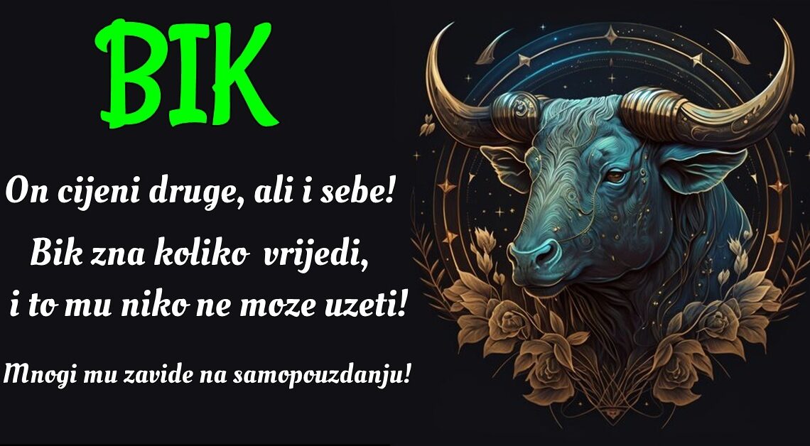 BIK: On je osoba koja voli iskreno i koja vas nikad neće slagati! BIK: On je osoba koja voli iskreno i koja vas nikad neće slagati!