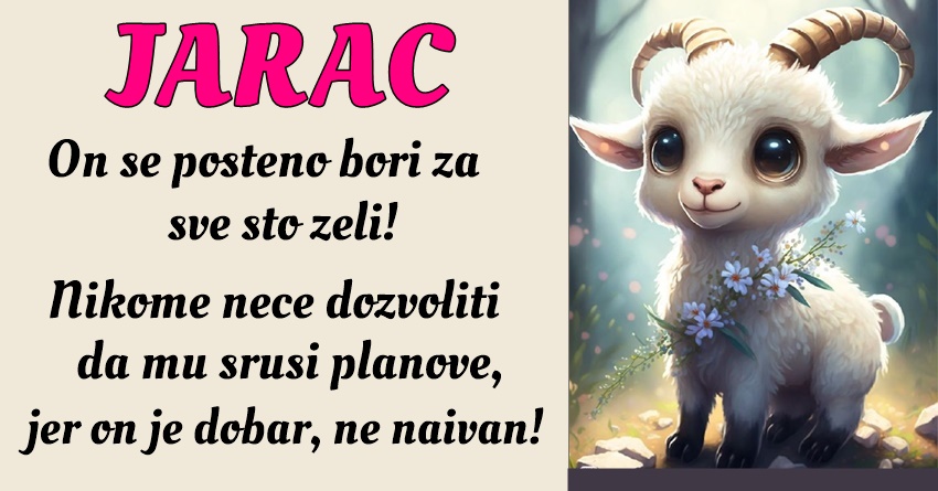 JARAC: On nije osoba koja će se lako prilagoditi očekivanjima drugih ili društvenim normama! JARAC: On nije osoba koja će se lako prilagoditi očekivanjima drugih ili društvenim normama!