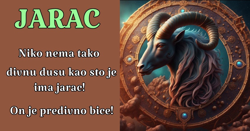 JARAC: On pristupa životu sa velikim entuzijazmom i strastvenim oduševljenjem! JARAC: On pristupa životu sa velikim entuzijazmom i strastvenim oduševljenjem!