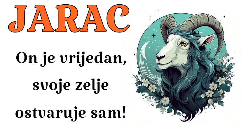 JARAC: On se trudi da se stavi u tuđe cipele i da razume njihove osećaje! JARAC: On se trudi da se stavi u tuđe cipele i da razume njihove osećaje!
