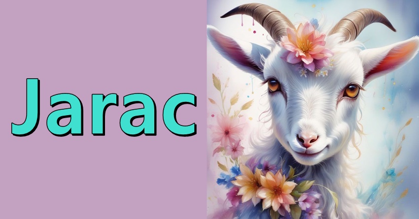 JARAC- U svetu punom izazova i promena, on se ističe kao simbol hrabrosti, rasta i inspiracije! JARAC- U svetu punom izazova i promena, on se ističe kao simbol hrabrosti, rasta i inspiracije!