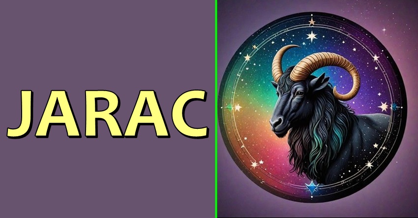 JARAC-On često pronalazi nove ideje i pristupe koje drugi ne vide! JARAC-On često pronalazi nove ideje i pristupe koje drugi ne vide!