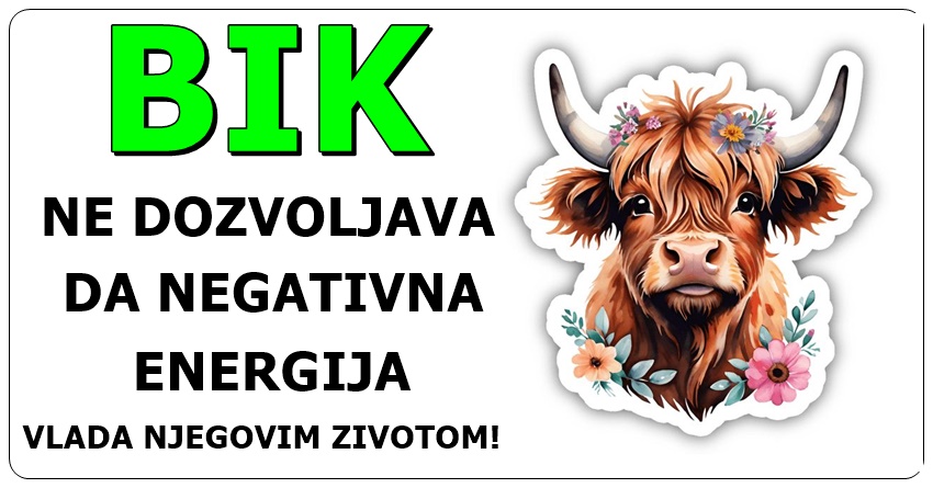 BIK: On je znak koji ne odustaje, bez obzira na težinu situacije! BIK: On je znak koji ne odustaje, bez obzira na težinu situacije!