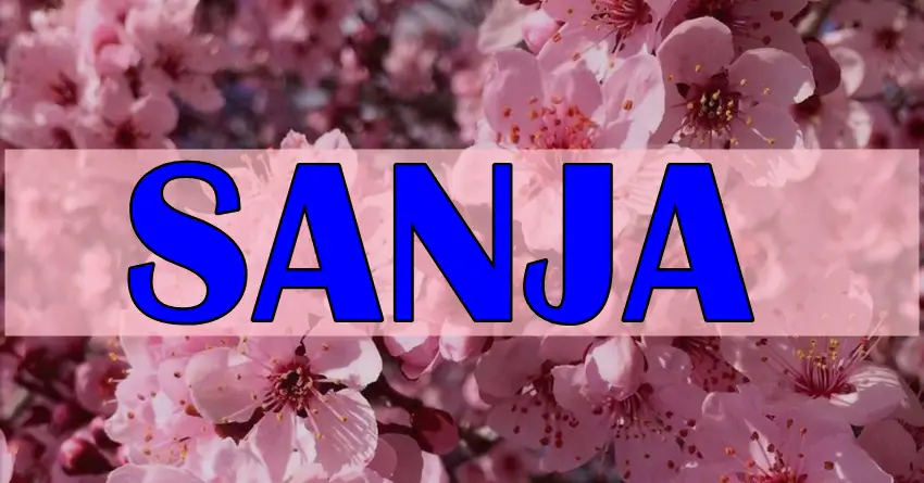 SANJA – žena VELIKOG SRCA, STVORENA da PRUŽI SVU LJUBAV ovog svijeta! SANJA – žena VELIKOG SRCA, STVORENA da PRUŽI SVU LJUBAV ovog svijeta!