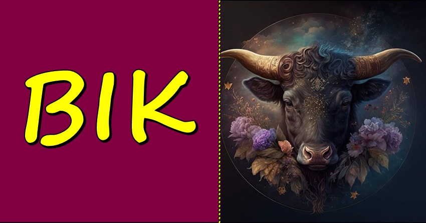BIK – On predstavlja inicijativu, hrabrost i borbenost! BIK – On predstavlja inicijativu, hrabrost i borbenost!