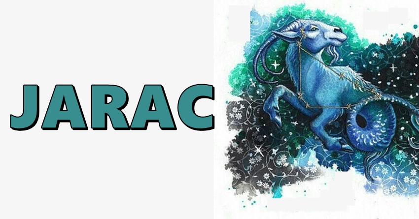 JARAC: On ulaže vreme i trud u odnose kako bi osigurao da su oni temeljen na stvarnom razumevanju i međusobnom poštovanju! JARAC: On ulaže vreme i trud u odnose kako bi osigurao da su oni temeljen na stvarnom razumevanju i međusobnom poštovanju!