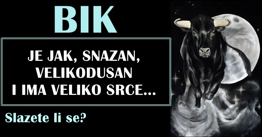 BIK nema mnogo srece u zivotu,ali NIKADA NE OCAJAVA vec se BORI svim silama! BIK nema mnogo srece u zivotu,ali NIKADA NE OCAJAVA vec se BORI svim silama!