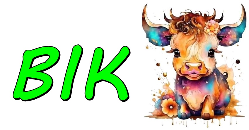 BIK : On doprinosi kvalitetu prijateljstava i pruža vrednost koja se ne može meriti! BIK : On doprinosi kvalitetu prijateljstava i pruža vrednost koja se ne može meriti!