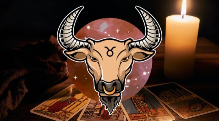 Veliki ciganski horoskop za Bika do 15. novembra: Saznaj šta te očekuje!