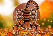 Škorpija: Veliki horoskop za novembar, saznaj šta te očekuje!