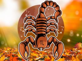 Škorpija: Veliki horoskop za novembar, saznaj šta te očekuje!