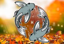 Ribe: Veliki horoskop za novembar, saznaj šta te očekuje!