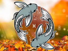 Ribe: Veliki horoskop za novembar, saznaj šta te očekuje!