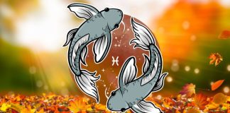 Ribe: Veliki horoskop za novembar, saznaj šta te očekuje!
