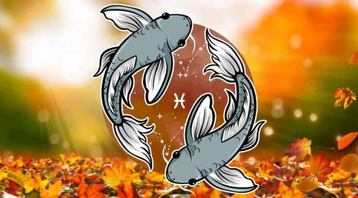 Ribe: Veliki horoskop za novembar, saznaj šta te očekuje!