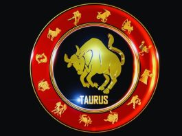 Veliki horoskop za Bika do 15. novembra: Saznaj šta te očekuje!