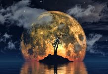 ZVEZDE SU NA STRANI OVIH ZNAKOVA: Evo koja tri zodijaka će uspešno rešiti svoje probleme i biti srećniji nego ikada ranije!