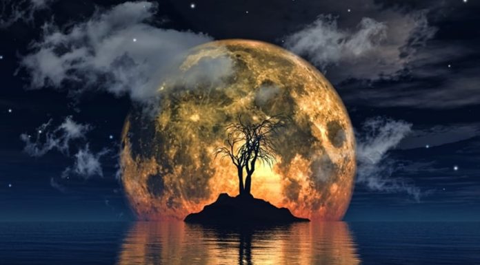 ZVEZDE SU NA STRANI OVIH ZNAKOVA: Evo koja tri zodijaka će uspešno rešiti svoje probleme i biti srećniji nego ikada ranije!