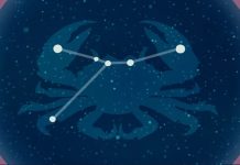 ŠKORPIJA: Tokom narednih deset dana čeka vas intenzivna sreća i strastvena ljubav!