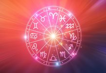 STRELAC: Škorpija vlada do 21.novembra, evo šta vas čeka do tada!