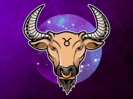 Veliki horoskop za Bika do kraja novembra: Saznaj šta te očekuje!