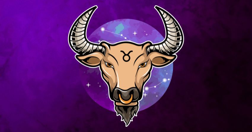 sve24 - 2025-11-06T220727.605