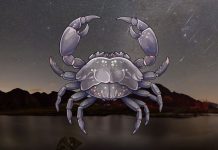 Veliki horoskop za Raka do kraja novembra: Saznaj šta te očekuje!