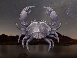 Veliki horoskop za Raka do kraja novembra: Saznaj šta te očekuje!