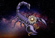 Veliki horoskop za Škorpije do kraja godine: Saznajte šta vas očekuje!
