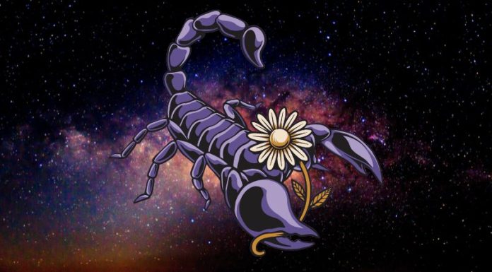 Veliki horoskop za Škorpije do kraja godine: Saznajte šta vas očekuje!