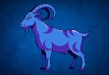 Veliki horoskop za Jarca do kraja godine: Saznajte šta vas očekuje!