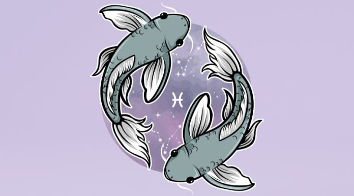 Veliki horoskop za Ribe do kraja godine: Saznajte šta vas očekuje!