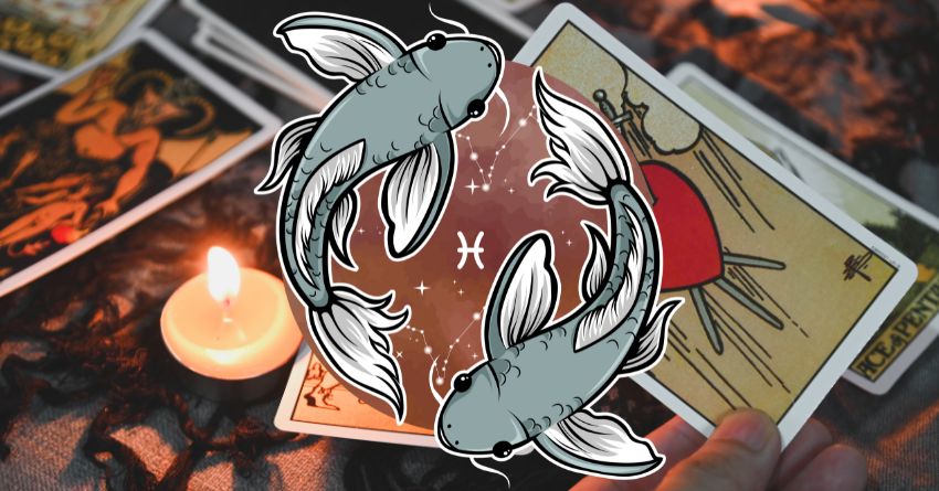 sve24 - 2025-11-19T230956.598