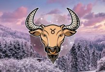 Veliki horoskop za Bika do 30. novembra: Saznaj šta te očekuje!