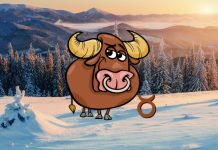 Dnevni horoskop za Bika za ponedeljak, 24. 11. 2025: Saznajte šta vas očekuje!