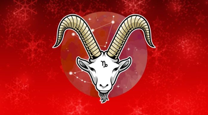 JARAC: Ljubavni horoskop od 24. novembra do 1. decembra, zvezde imaju tajni plan!