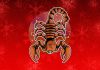 ŠKORPIJA: Ljubavni horoskop od 24. novembra do 1. decembra, zvezde imaju tajni plan!